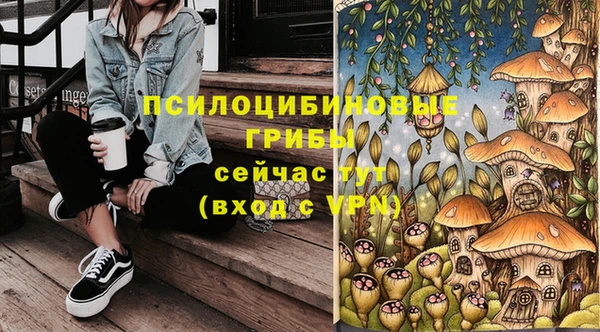 каннабис Алзамай
