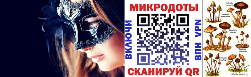 kraken ссылки  Николаевск-на-Амуре  Галлюциногенные грибы Magic Shrooms 